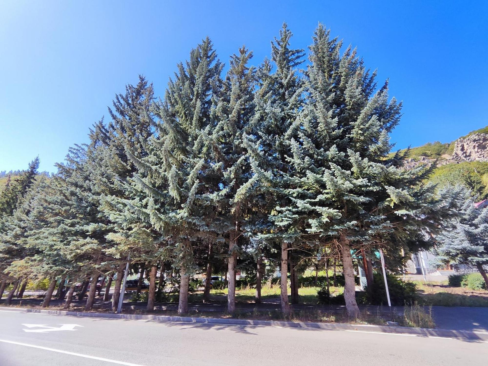 Jermuk Mini Apartment Kültér fotó